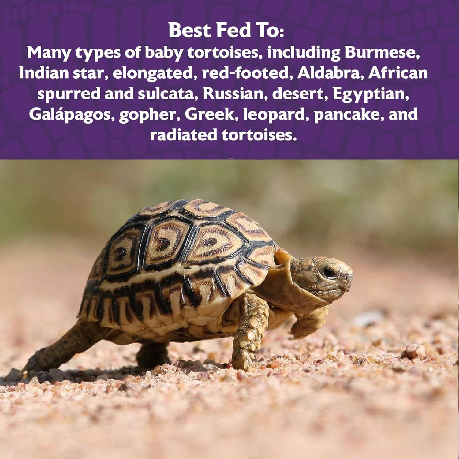 image:imageMazuri  Juvenile Tortoise Food for Baby Tortoises  8 Ounce 8 oz BagMulticolored