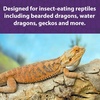 image:imageMazuri  Bearded Dragon Food  Insect Portion of a Complete Diet  8 Ounce 8 oz Bag8 Ounce Pack of 1
