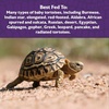 image:imageMazuri  Juvenile Tortoise Food for Baby Tortoises  8 Ounce 8 oz BagMulticolored