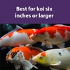 image:imageMazuri  Koi Floating Platinum Nuggets 20 Pound 20 lb Bag
