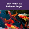 image:imageMazuri  Koi Floating Pond Nuggets  20 Pound 20 LB Bag  Pack of 220 Pound Pack of 1