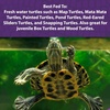 image:imageMazuri  Nutritionally Complete Aquatic Turtle Food  Freshwater Formula  25 Pound 25 lb Bag
