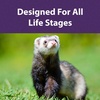 image:imageMazuri  Nutritionally Complete Food for Ferrets 5 Pound 5 lb BagUnflavored