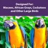 image:imageMazuri  Nutritionally Complete Food for Large Birds  3 Pound 3 lb Bag3 Pound Pack of 1