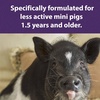 image:imageMazuri  Nutritionally Complete Mini Pig Mature Maintenance Food  25 Pound 25 lb Bag