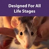 image:imageMazuri  Rat amp Mouse Diet  2 Pack of 25 Pound Bags25 Pound Pack of 1