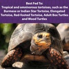 image:imageMazuri  Tortoise Diet  25 Pound 25 lb Bag  Pack of 2125 Pound Pack of 1