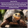 image:imageMazuri  Tortoise Diet  25 Pound 25 lb Bag  Pack of 220 Ounce Pack of 2