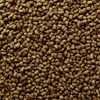 image:imageMazuri Herbivorous Reptile Diet  Food for PlantEating Herbivorous Lizards Green Iguanas Uromastyx Lizards  8 Ounce 8 OZ Bag