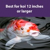 image:imageMazuri Koi Platinum Ogata Floating Koi Food for Fish 20 lbs