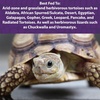 image:imageMazuri Low Starch Tortoise Diet for African SpurredSulcata Desert Egyptian Galapagos Gopher Greek Leopard Pancake Radiated or YellowFooted Tortoise 12 oz12 Ounce Pack of 2