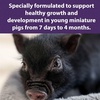 image:imagePurina Mills Mazuri Mini Pig Youth 25 lb