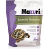 image:imageMazuri  Juvenile Tortoise Food for Baby Tortoises  8 Ounce 8 oz BagMulticolored