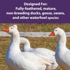 image:imageMazuri Waterfowl Maintenance Food for Ducks and Geese  50 Pound 50 LB Bag25 Pound Pack of 1