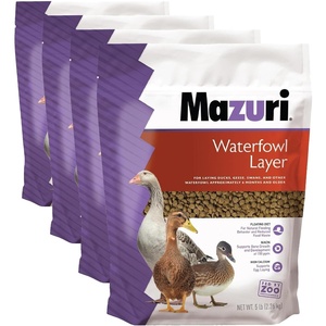image:imageMazuri Waterfowl Layer Food for Ducks amp Geese  5 Pound 5 LB Bag1 Count Pack of 4